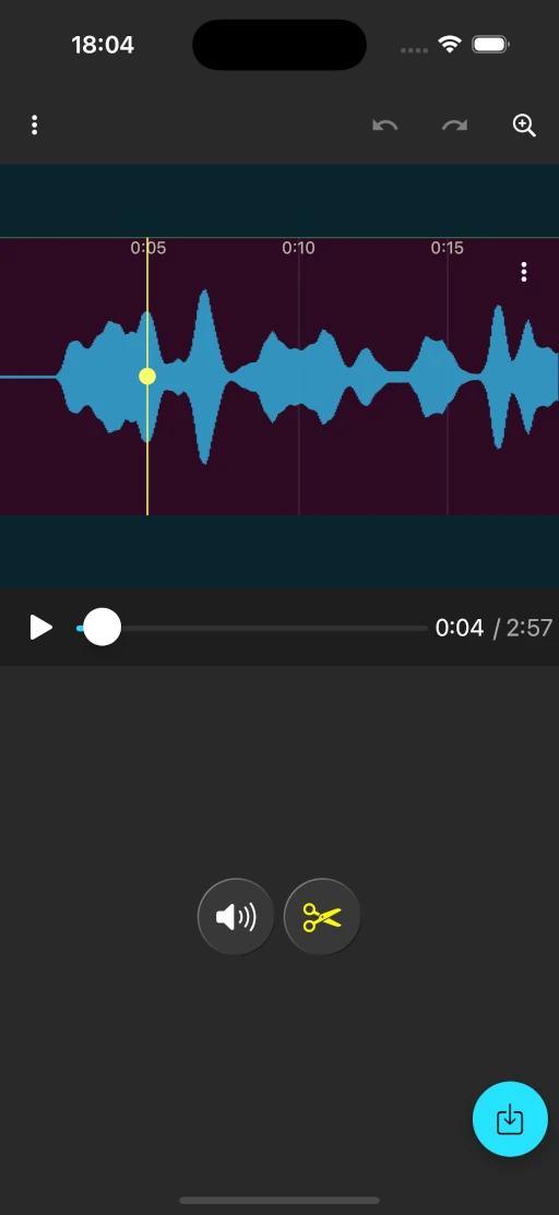 Load the audio signal